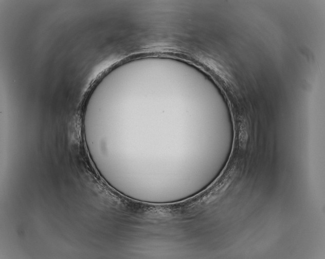 X0000112051358200908181128