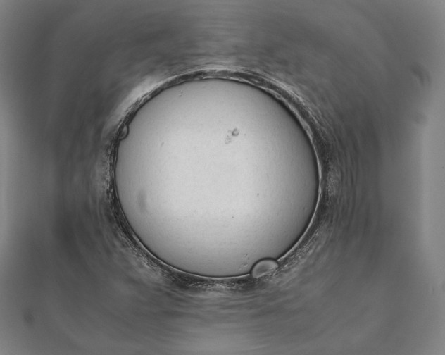 X0000112051359200908181128