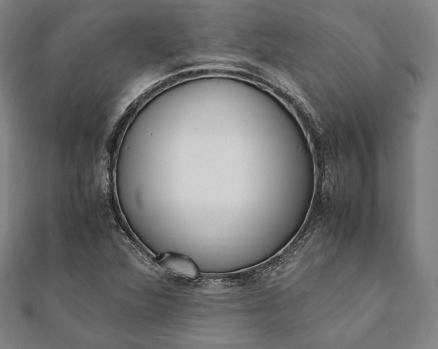 X0000112051360200908181128