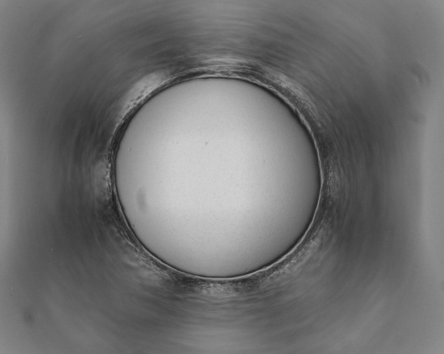 X0000112051362200908181128