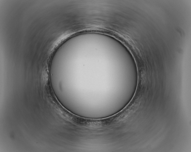 X0000112051363200908181128