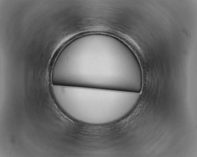 X0000112051364200908181128