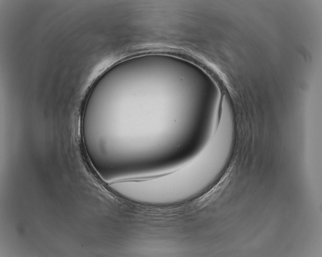 X0000112051365200908181128