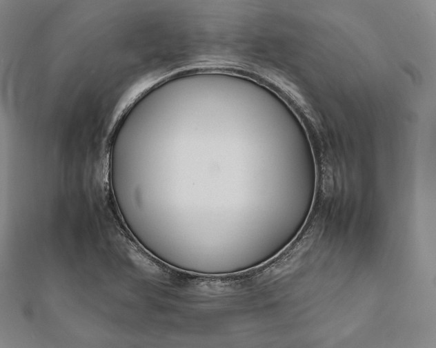 X0000112051366200908181128