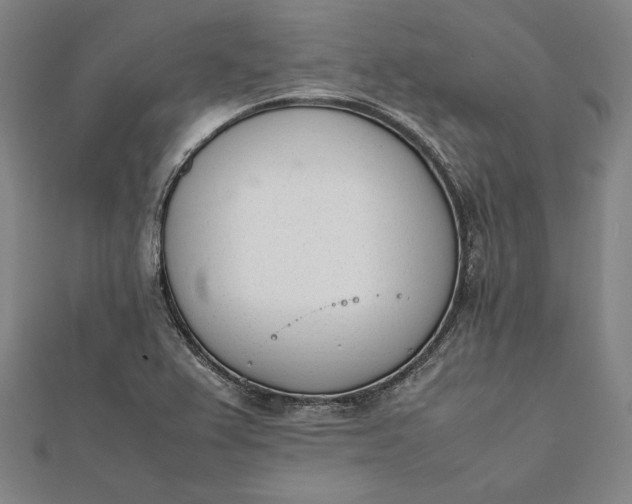 X0000112051367200908181128