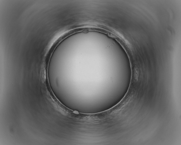 X0000112051368200908181128