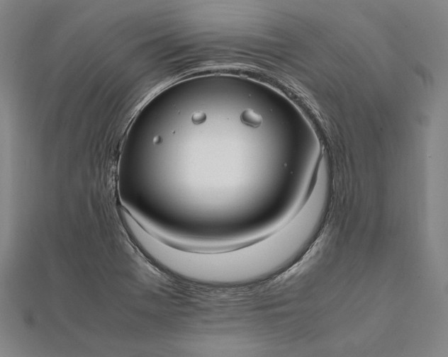 X0000112051369200908181128