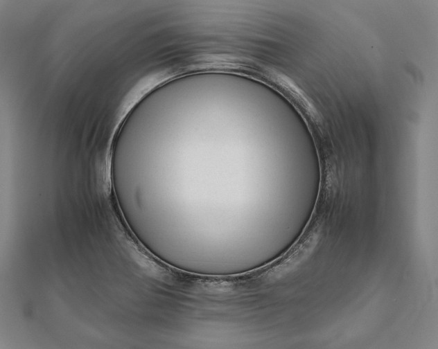 X0000112051370200908181128