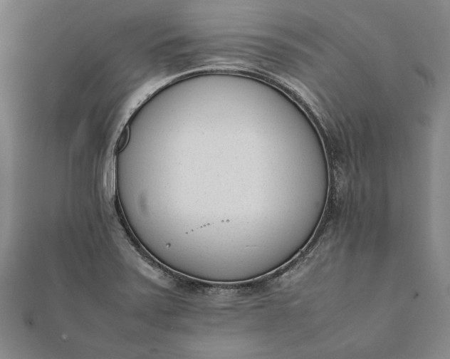 X0000112051371200908181128