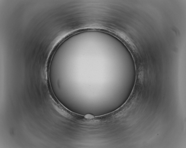 X0000112051372200908181128