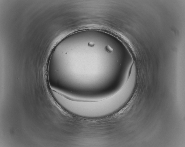 X0000112051373200908181128