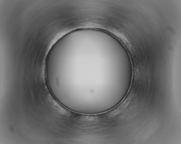 X0000112051374200908181128