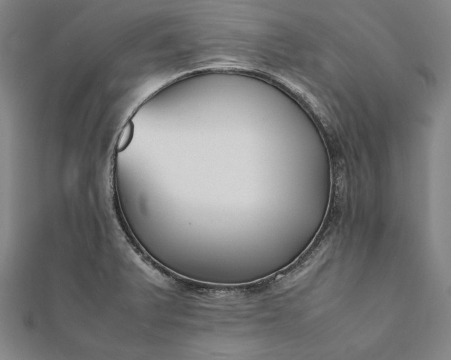 X0000112051375200908181128