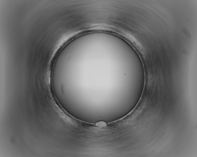 X0000112051376200908181128