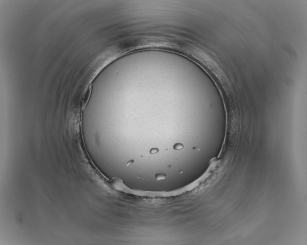 X0000112051377200908181128