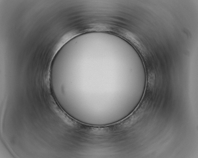 X0000112051378200908181128