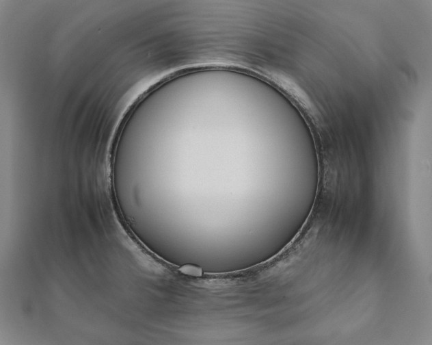 X0000112051380200908181128