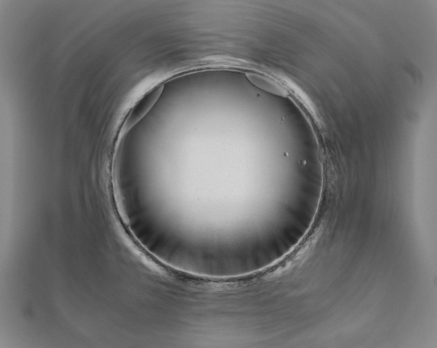 X0000112051381200908181128