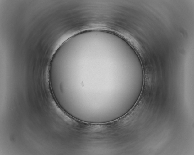 X0000112051382200908181127