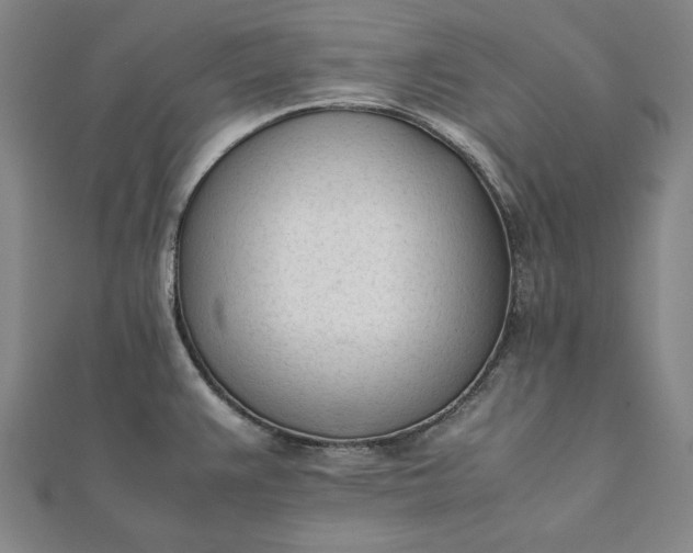 X0000112051383200908181127