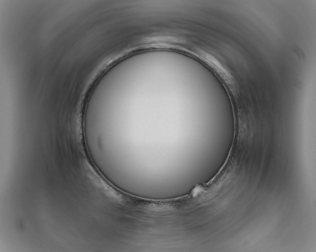 X0000112051384200908181127