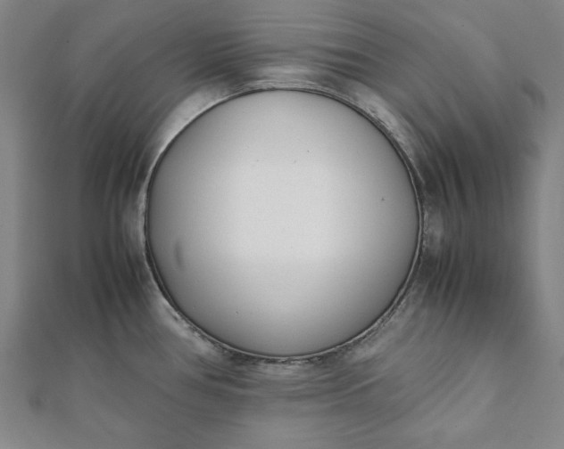 X0000112051386200908181127