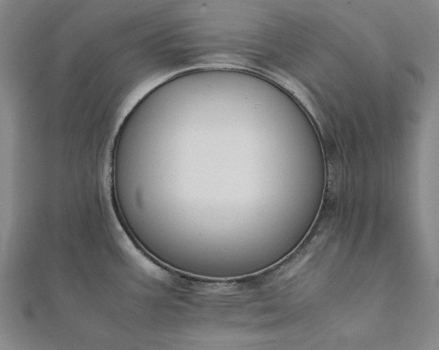 X0000112051387200908181127