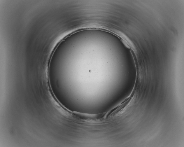 X0000112051388200908181127