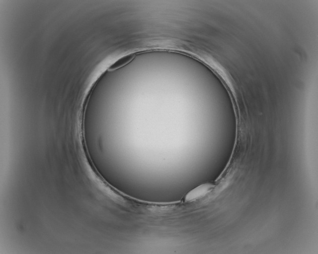 X0000112051389200908181127