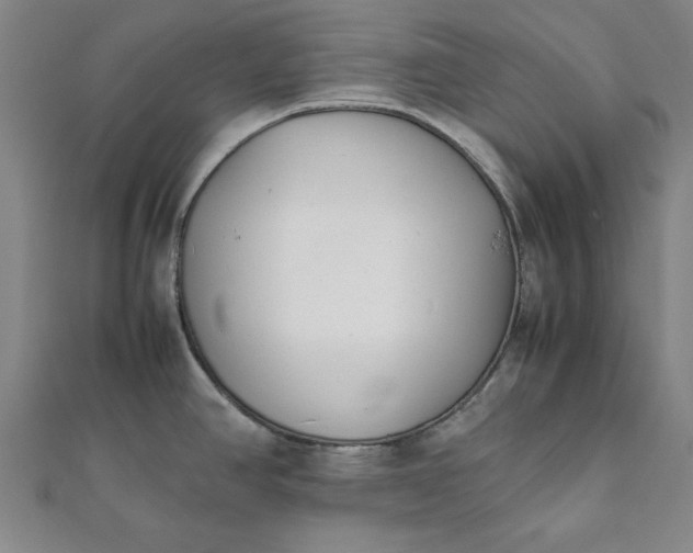 X0000112051390200908181127