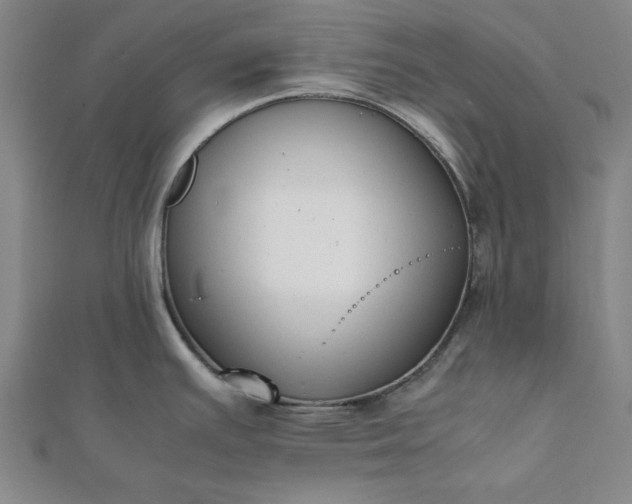 X0000112051391200908181127