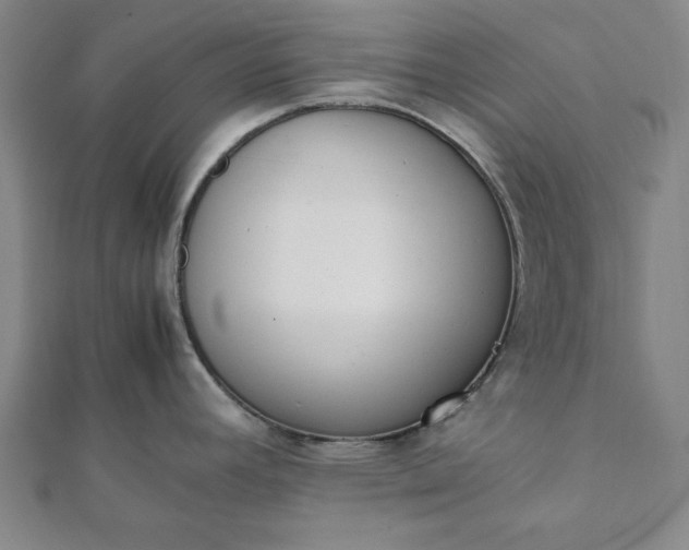 X0000112051392200908181127