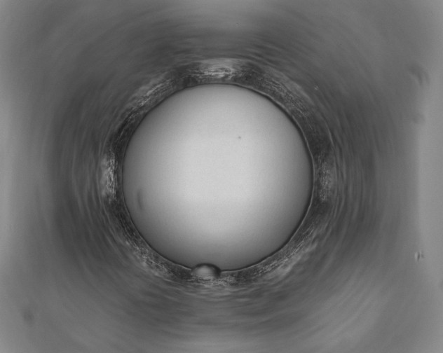 X0000112051394200908181127