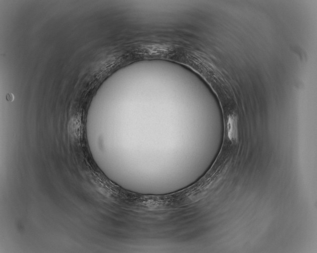 X0000112051395200908181127