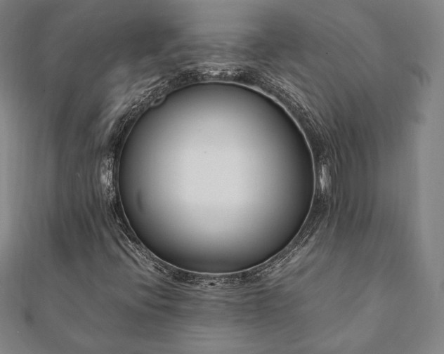 X0000112051396200908181127