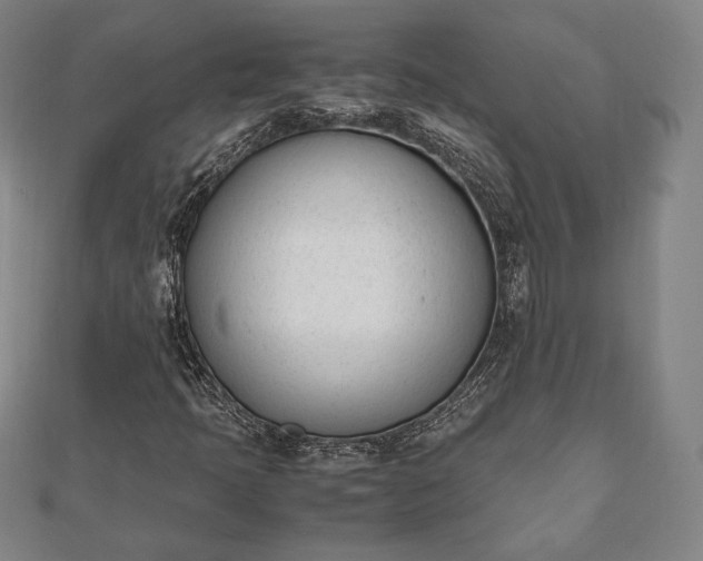 X0000112051397200908181127