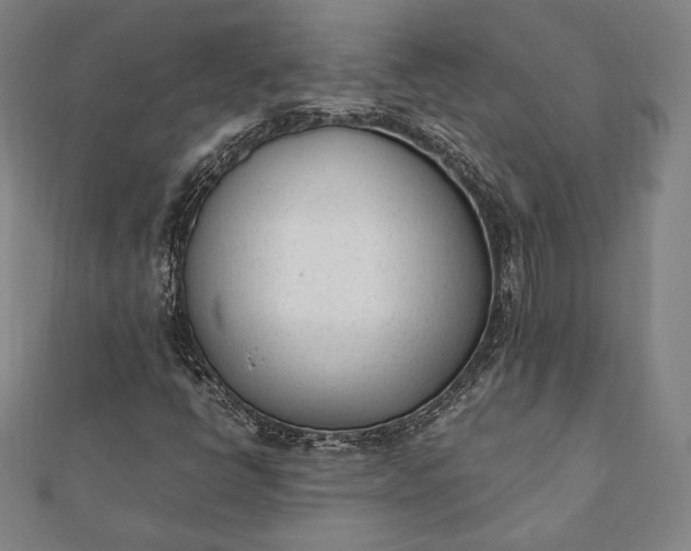 X0000112051398200908181127