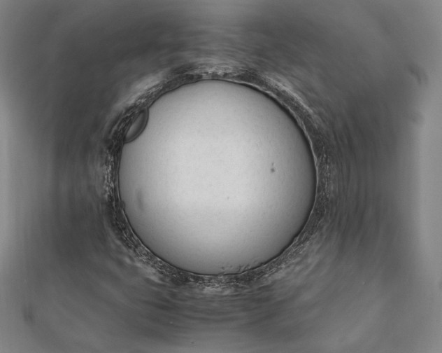 X0000112051399200908181127