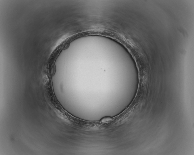 X0000112051400200908181127