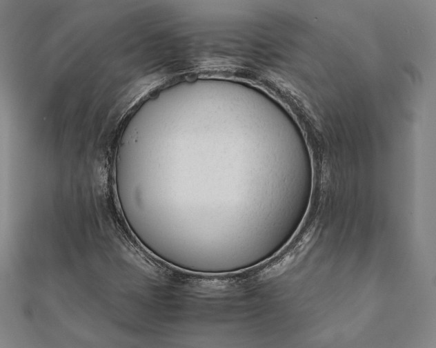 X0000112051401200908181127