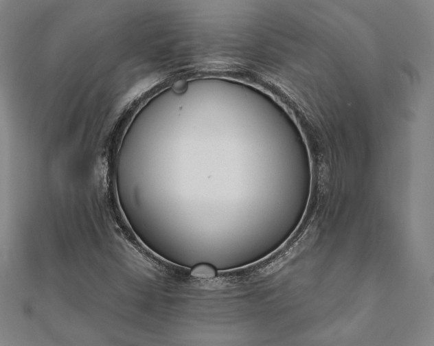 X0000112051402200908181127