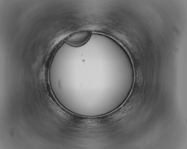 X0000112051404200908181127