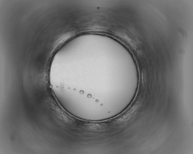 X0000112051405200908181127