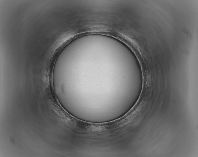 X0000112051407200908181127