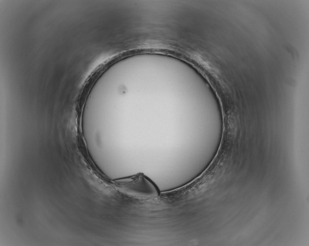 X0000112051408200908181127