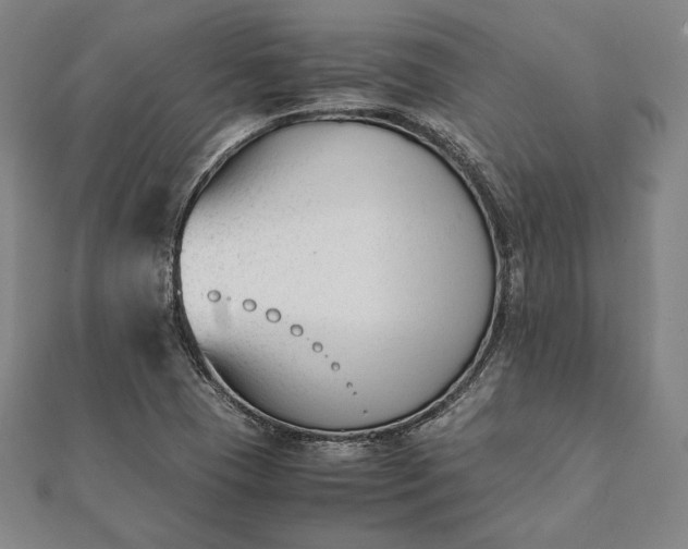 X0000112051409200908181127