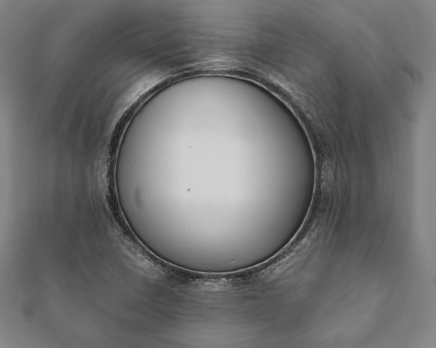 X0000112051410200908181127