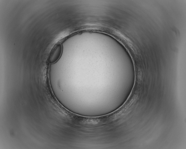 X0000112051411200908181127