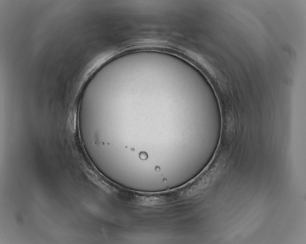 X0000112051413200908181127