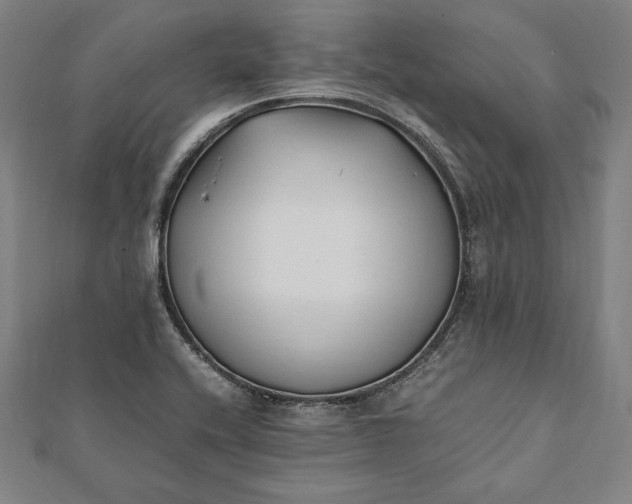 X0000112051416200908181127